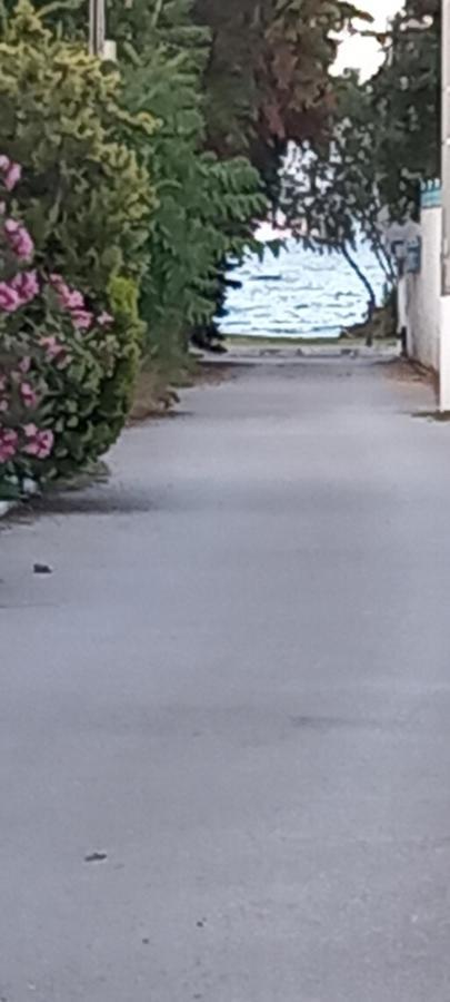 Villa Elizas House Néa Mákri Esterno foto